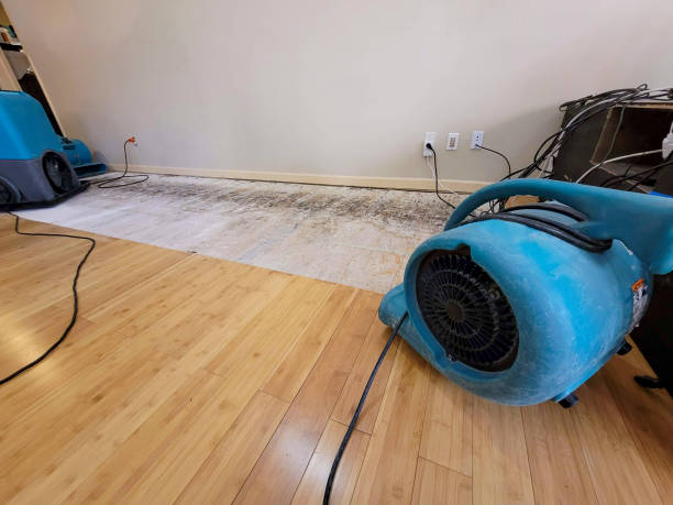 Professional Structural Drying technician working in Babylon, NY